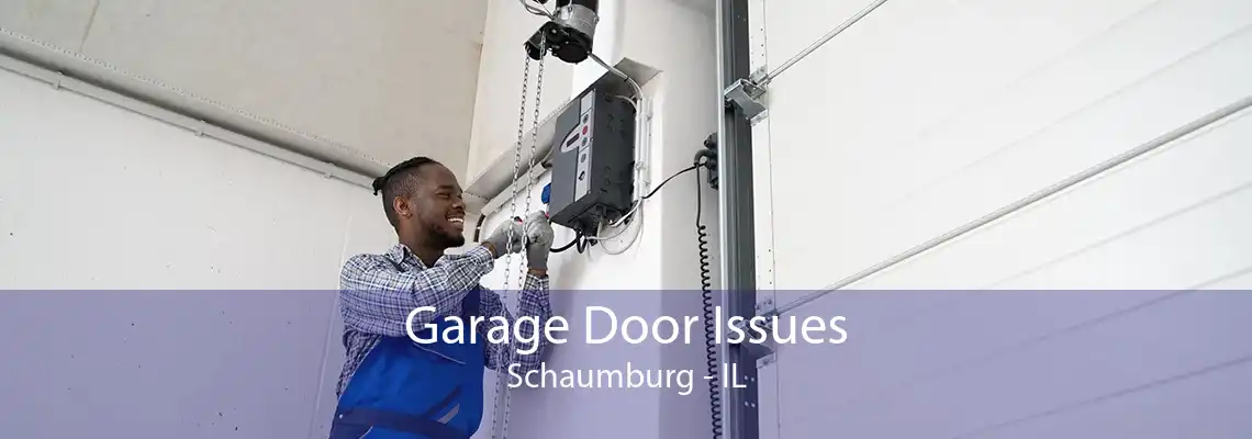 Garage Door Issues Schaumburg - IL